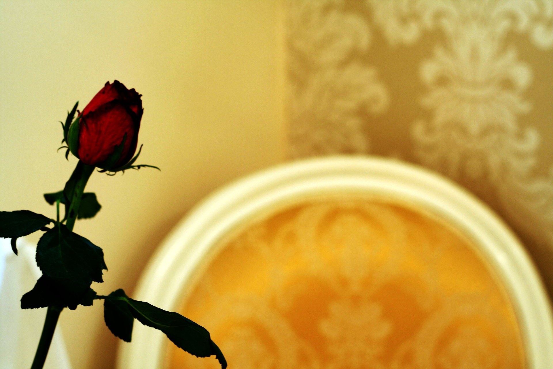 Banica apartments & rooms 11